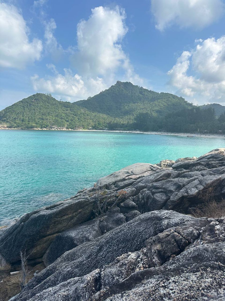 ylee_86's tweet image. #openseatouchgrass