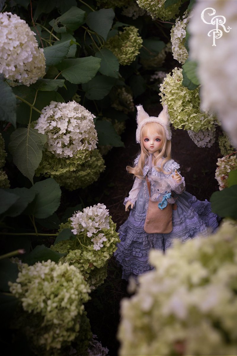 #今夜のドール撮影120分一本勝負
【とぶ】過去
まだ
とべないワタシだからこそ
よりたかい夢をはせる....

#スーパードルフィー  #うちのこかわいい #doll