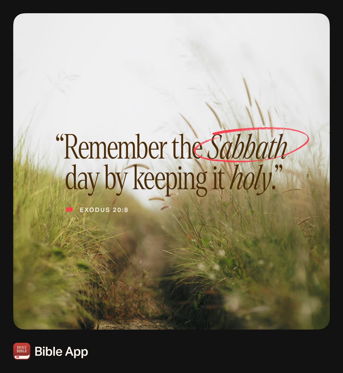 Today is The Lord’s day- the Sabbath Day for many Christians.  Why?  

It is observed as a day of rest and spiritual enrichment, primarily to commemorate God's rest on the seventh day after creating the world. It also serves as a reminder of the Israelites' liberation from