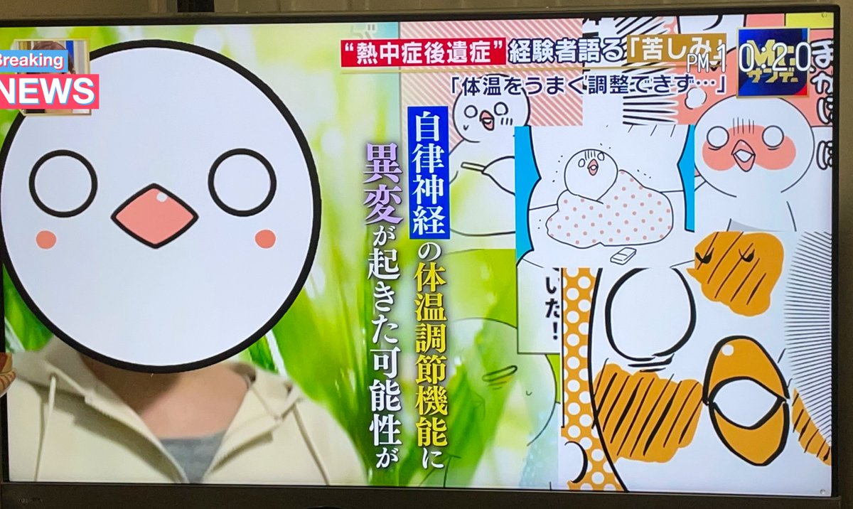 ここはとちゃんの走馬灯でめちゃ笑ってる 