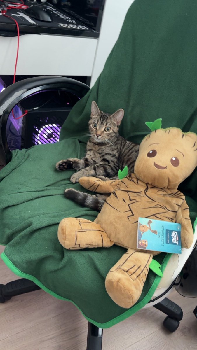 minazu333's tweet image. Can’t play anymore my seat got stolen 😔