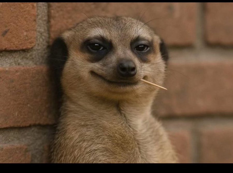 Brokers watching me fund my $5 again