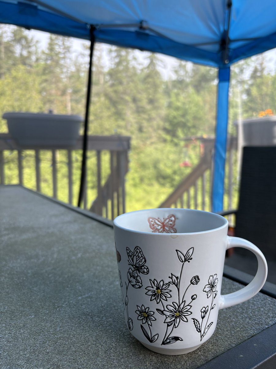 9:30am and it’s already to hot to enjoy my deck. Time to head in and crank the A/C. 

Enjoy your Sunday! ☀️