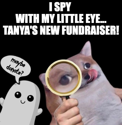 Ok, we did the FPV fundraiser thank you all for your kindness ❤️ 
Next part is these repeaters and drones which will allow for deeper strikes into temporary enemy territory 
Let's keep the porc cooking!!