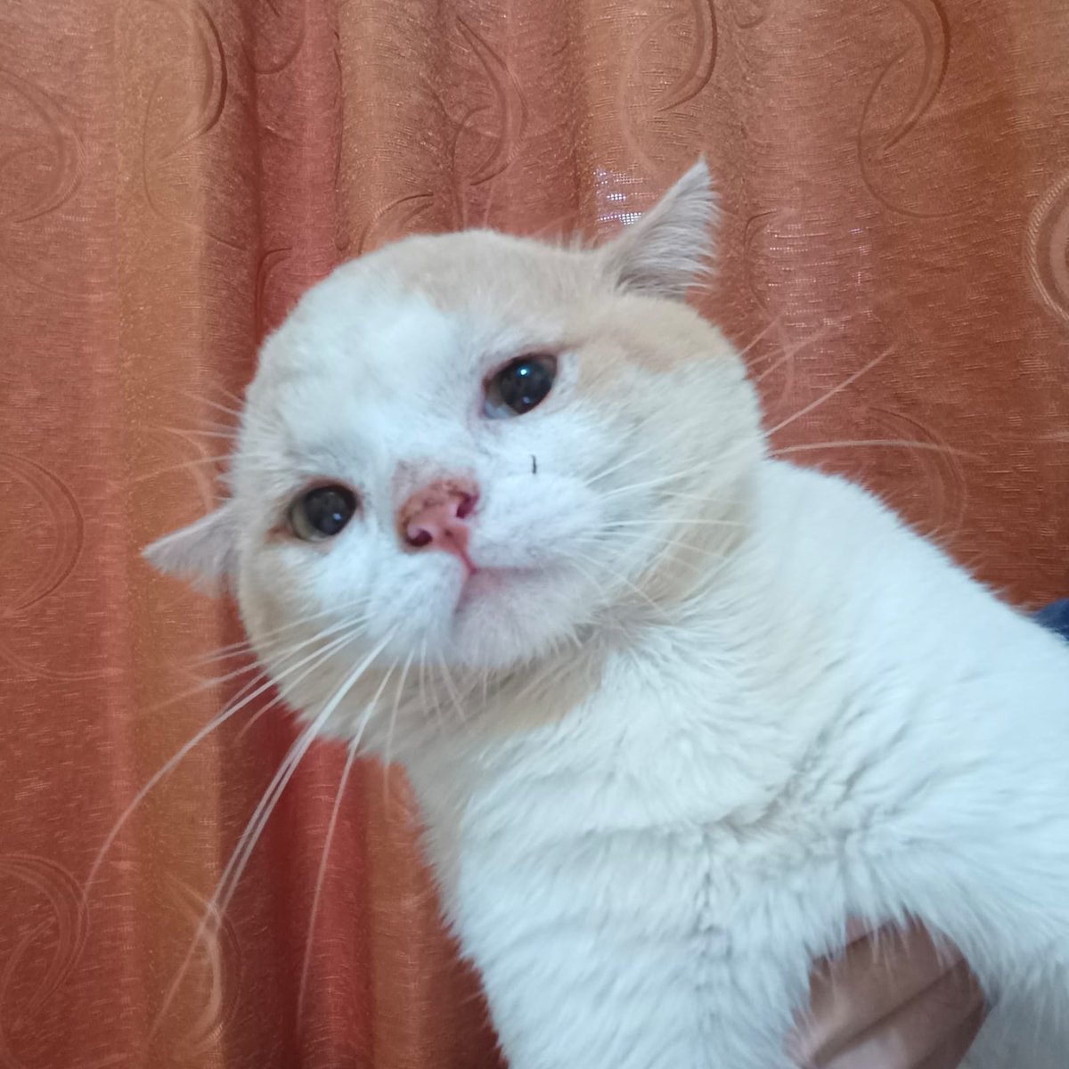 nggak kebagian yaaaa