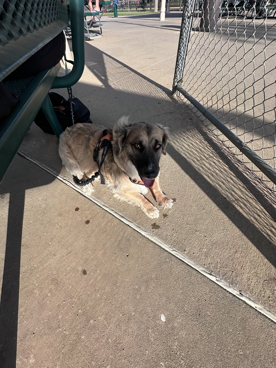 Coach Lex (@s_lex23) on Twitter photo Watching future Bearkats this morning with mom and I am so excited! #EatEmUpKats🧡🩶🖤 Watching future Bearkats this morning with mom and I am so excited! #EatEmUpKats🧡🩶🖤