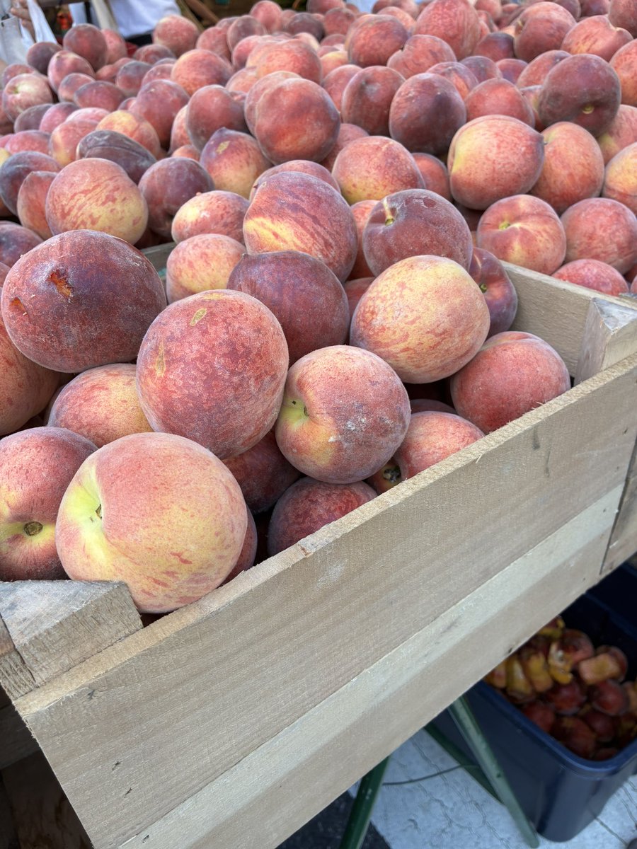 Isabel Lara tweet media