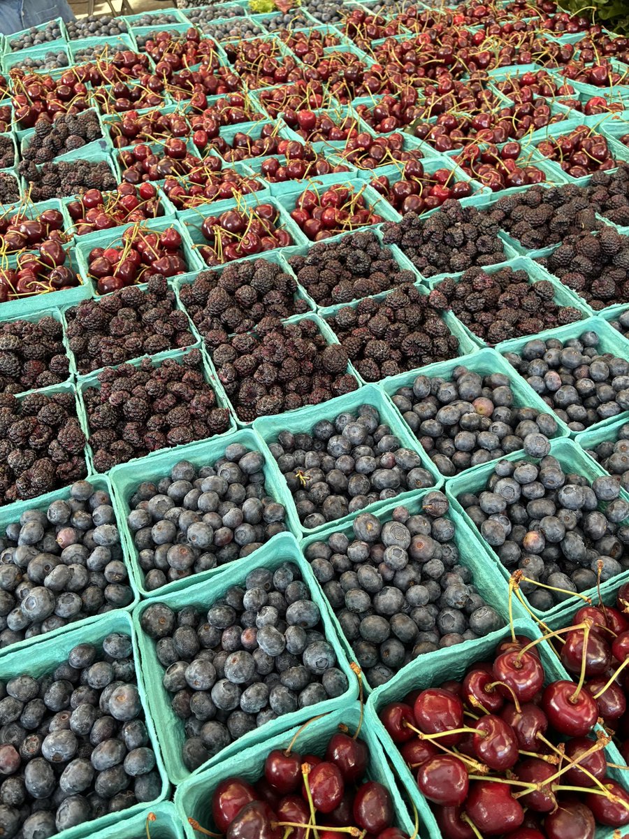 Isabel Lara tweet media