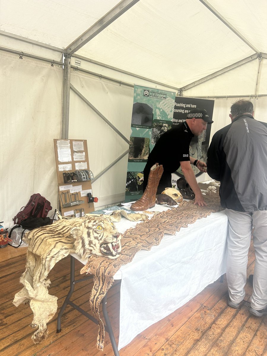 Final day to come visit the PAW Scotland stand at the highland show <a href="/ScotlandRHShow/">Royal Highland Show</a> come along and chat to us about wildlife crime #wildlife #RHS2025