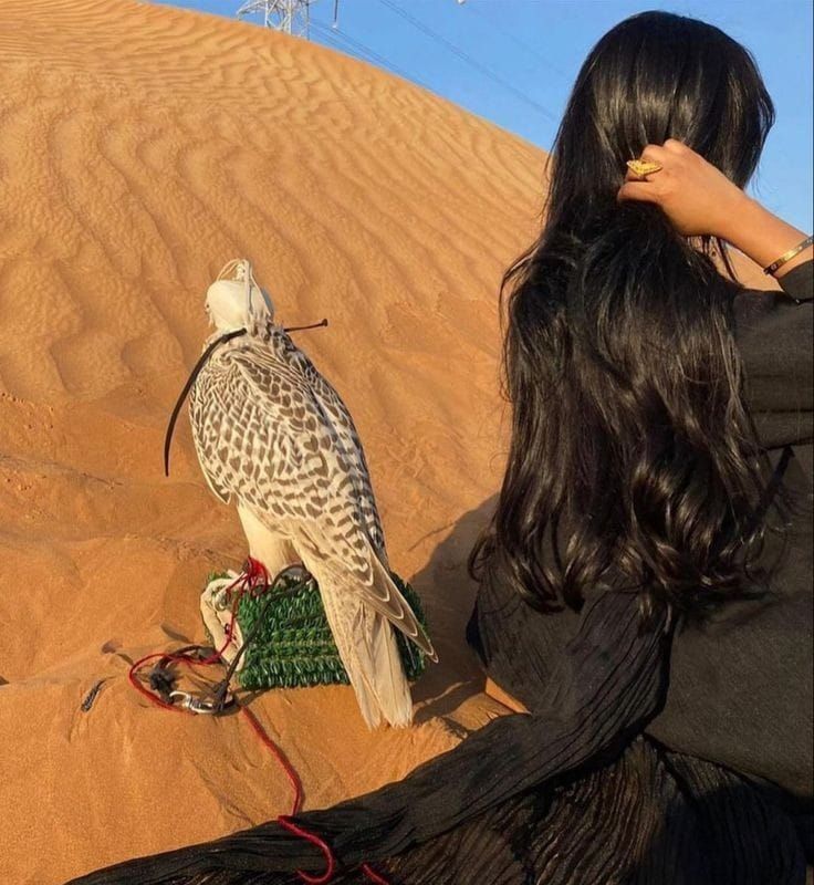 🌷🕊

المرأة التي تعرف متىٰ تحنو .. 
متىٰ تقسو .. كيف تمنح .. متىٰ تمنع
هي ٱمرأة كالشمس لا تنطفئ .. 
تحرق و لا تحترق ...

🌷🍃

#رسالة_لقلبك