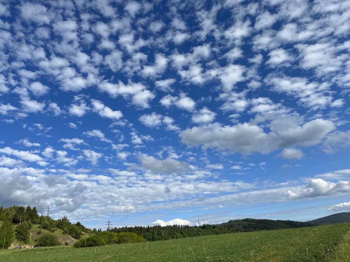 peter sorkovsky tweet media