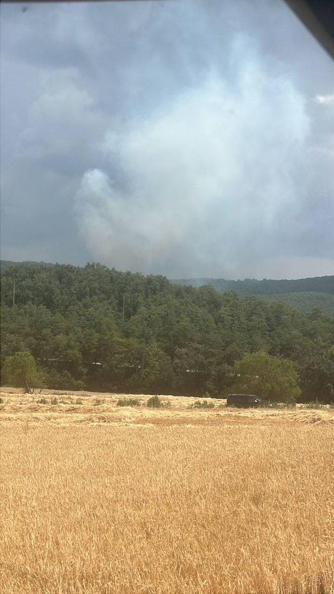 Incendi forestal a Pinell #ifpinell #solsonès #incendi #infocat
