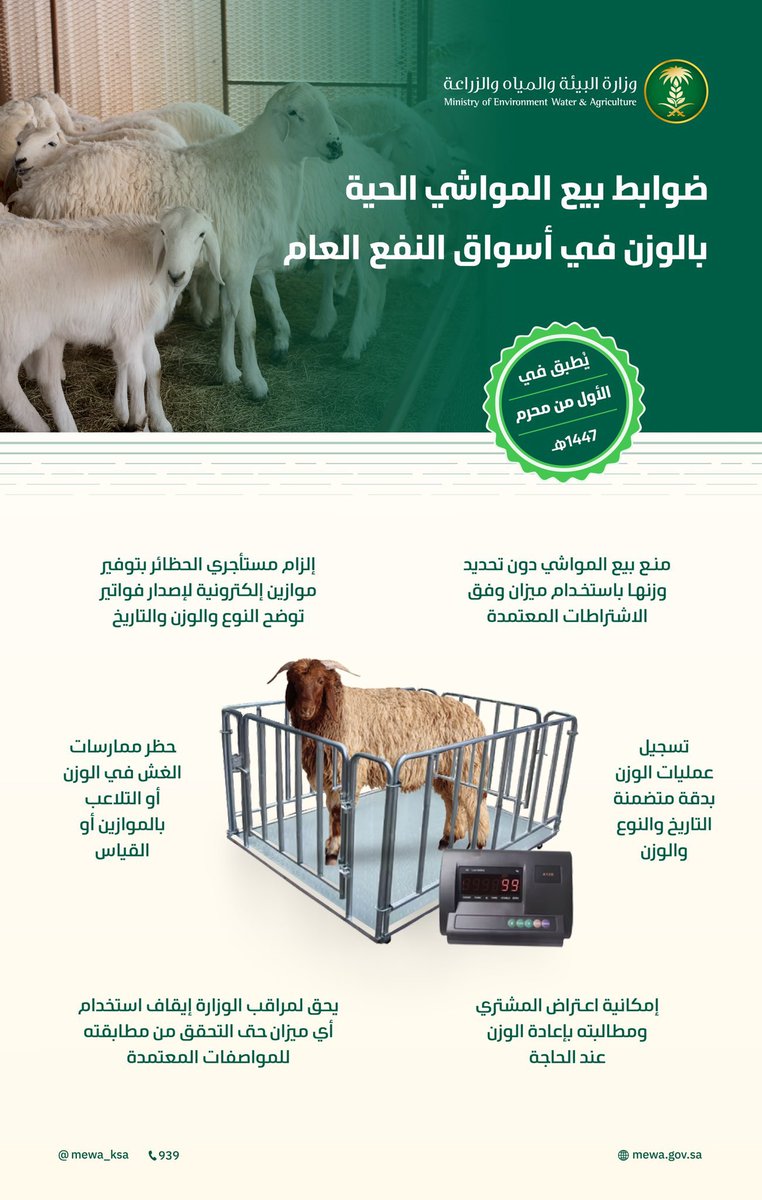 اعتبارًا من الخميس المقبل..
"البيئة" 
تُعلن عن بدء تطبيق ضوابط بيع المواشي الحية بالوزن في أسواق النفع العام4