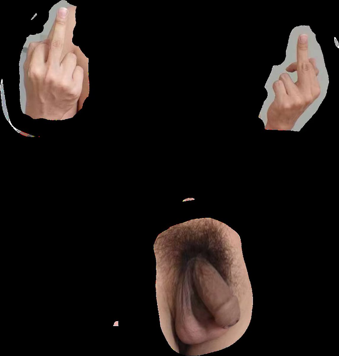 铁头牛 tweet media