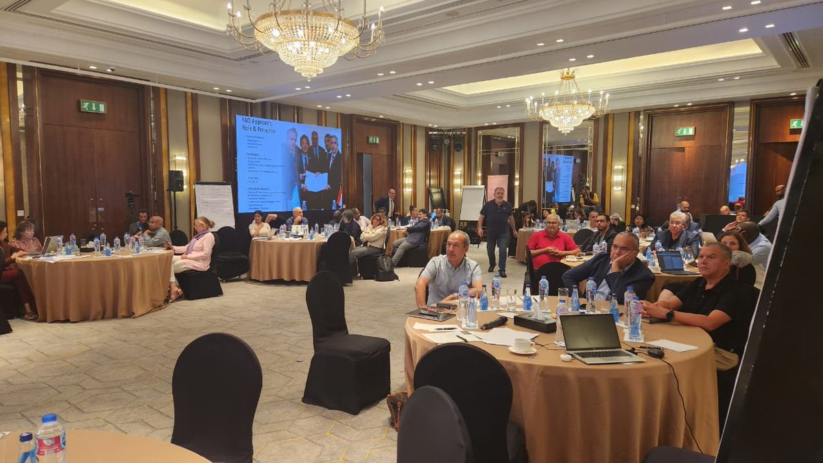 FAOIraq's tweet image. With a focus on sustainable agriculture, value chains &amp;amp; resilience, FAO Iraq is leveraging its comparative advantage to deliver results for people and planet. 🌱🇮🇶
#Partnerships4Development #SDGs