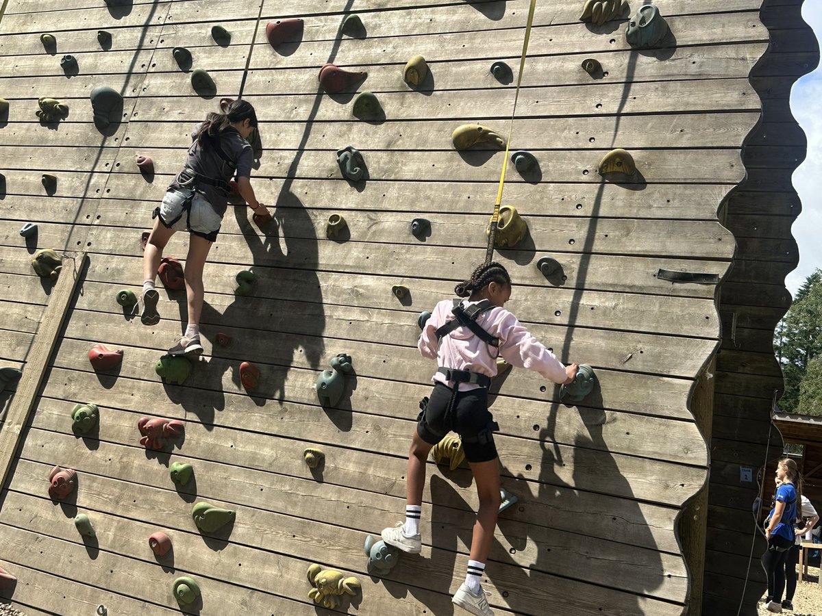 ApplegarthAc's tweet photo. Up the climbing wall Group 2 go… there was no stopping them when they were racing each other to the top! #competitive #raceon @thesteptrust https://t.co/tc17dzhtcn