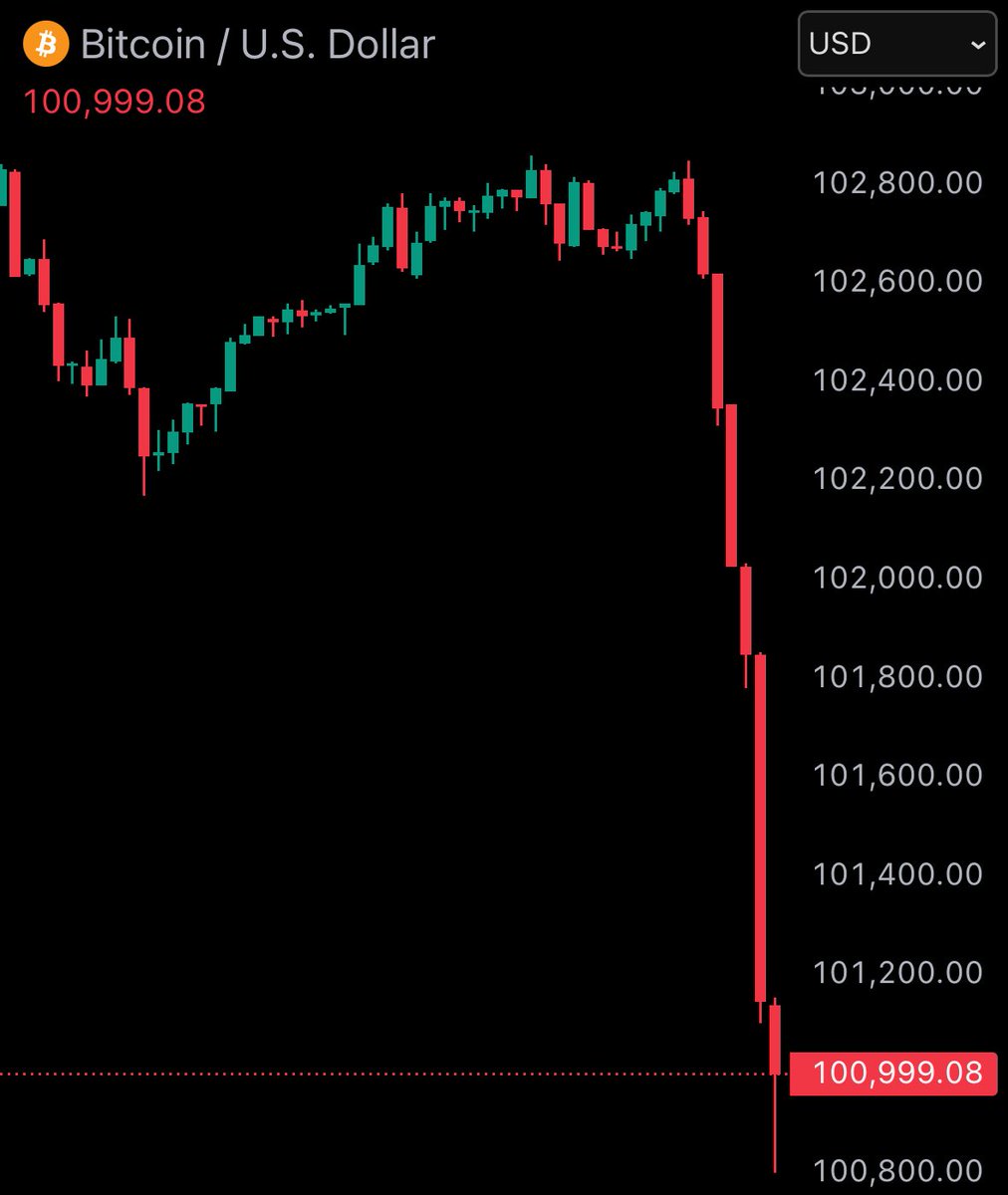 JUST IN: Bitcoin falls under $101,000