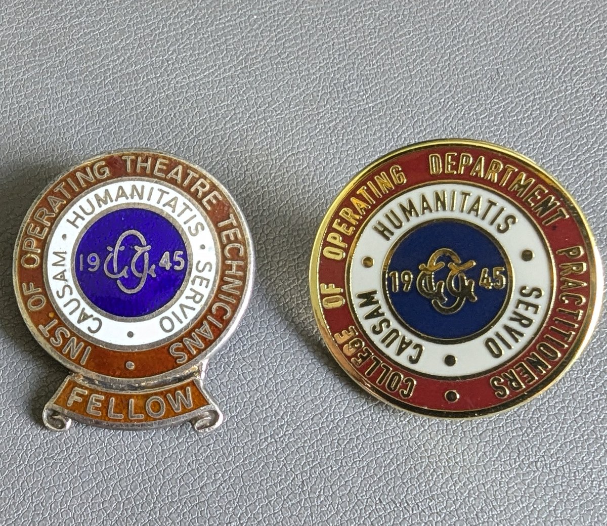 The new CODP members badge carries forward our traditions and history. Both feature our founding year, 80 years ago in 1945, along with our latin moto translating as 'I serve the cause of humanity'.

But what is the symbol in the centre of the date?

codp.org.uk