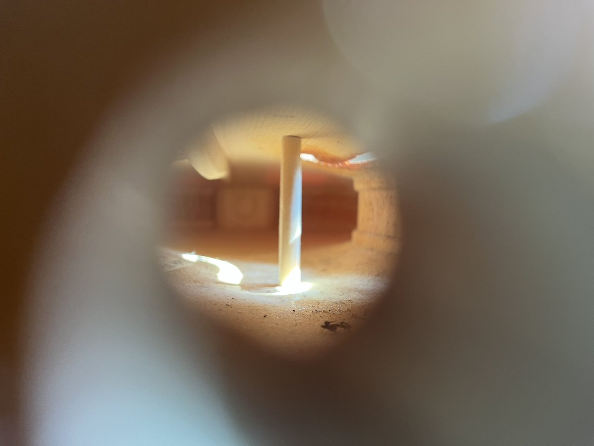 Sarah Harris tweet media