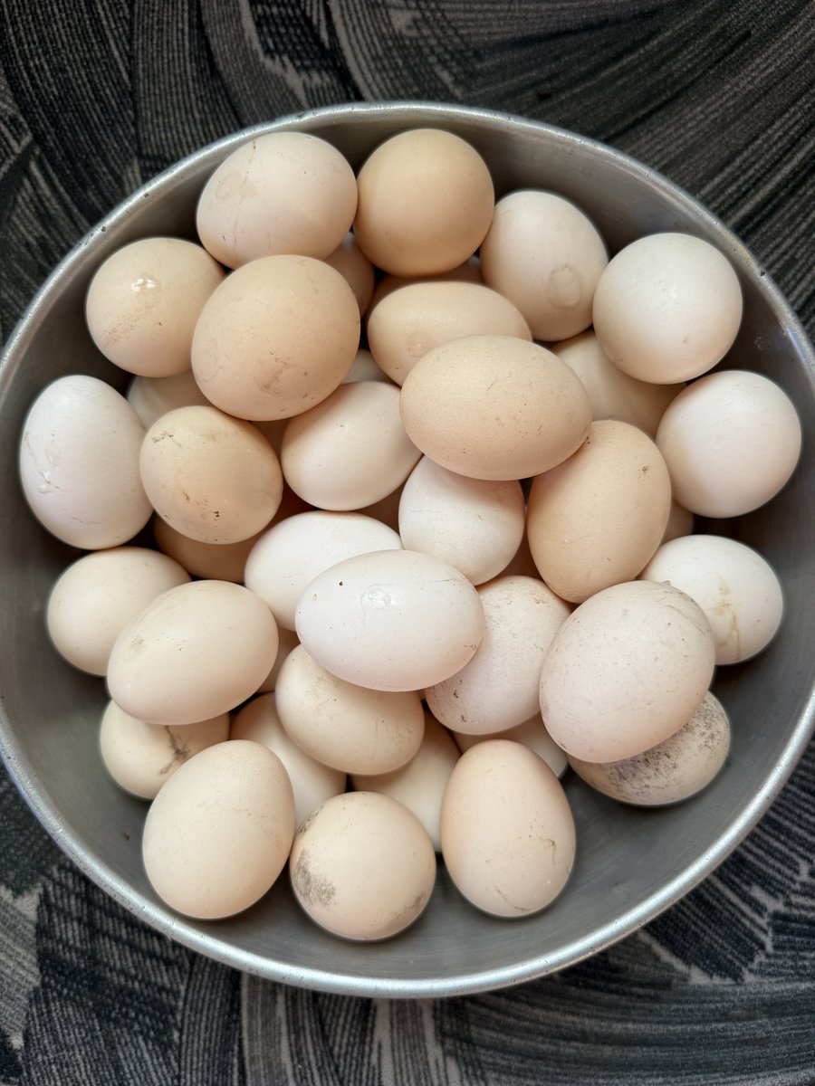 DietDrsayajirao's tweet image. 3-4 Eggs &amp;gt; ₹3000/month on supplements👇
🥚 This humble egg gives you:
✅ Protein
✅ B12
✅ Choline (for your brain)
✅ Good fats
✅ No side effects

Nature’s multivitamins needs no labels!
#EggsOverSupplements #RealFoodFirst #Bioavailable