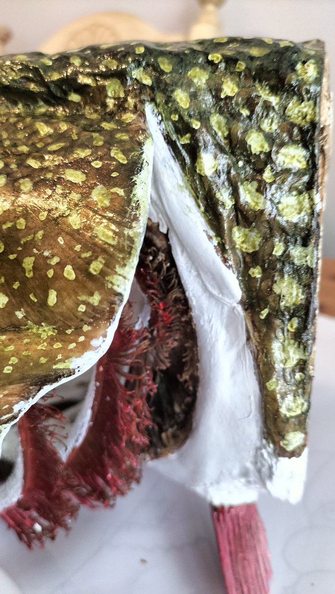 My Sunday...
#pike #painting
#taxidermy