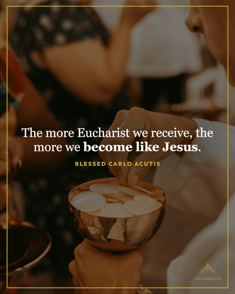 AscensionPress's tweet photo. Happy Solemnity of the Most Holy Body and Blood of Christ! https://t.co/91R1NNjnTO