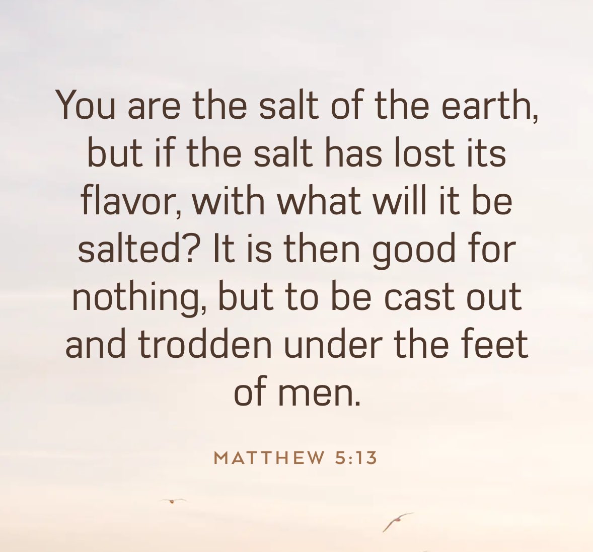 Stay sweet 🍰 
Stay salty 🥨
Stay spicy 🌶️
Never lose your unique flavor 🤌🏻

You are the salt of the earth friend, 
have a blessed and happy Sunday 🌞✝️