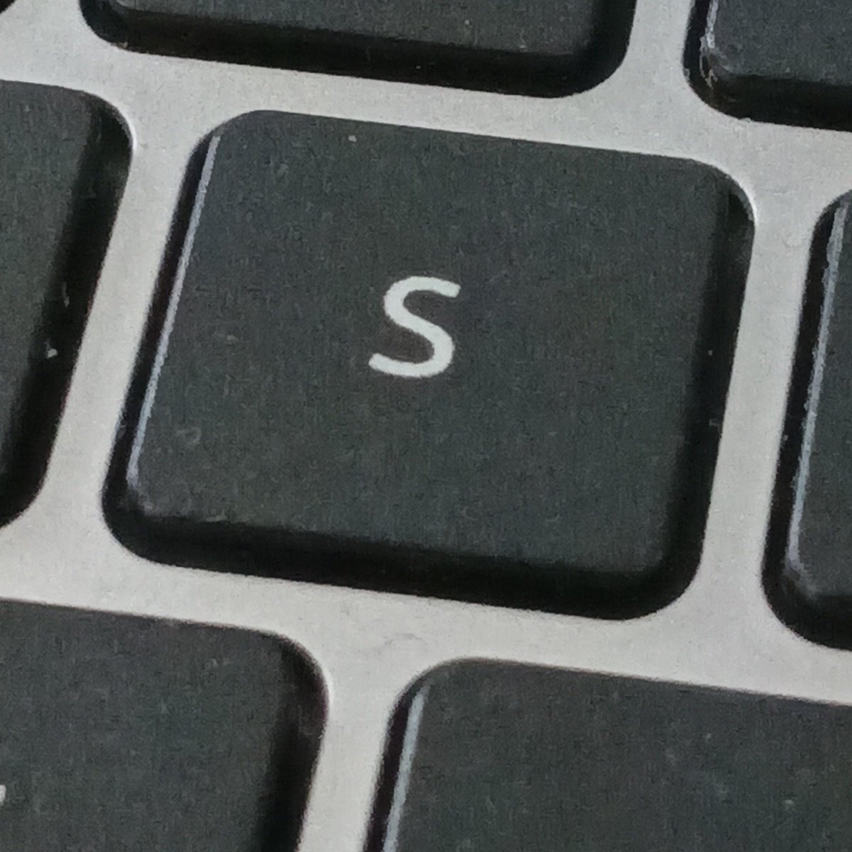 SiSc@f tweet media