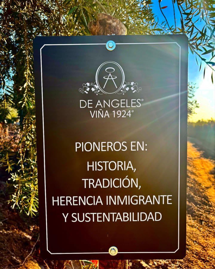 Guillermo Barbier tweet media