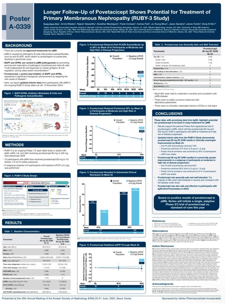 Povetacicept In membranous nephropathy