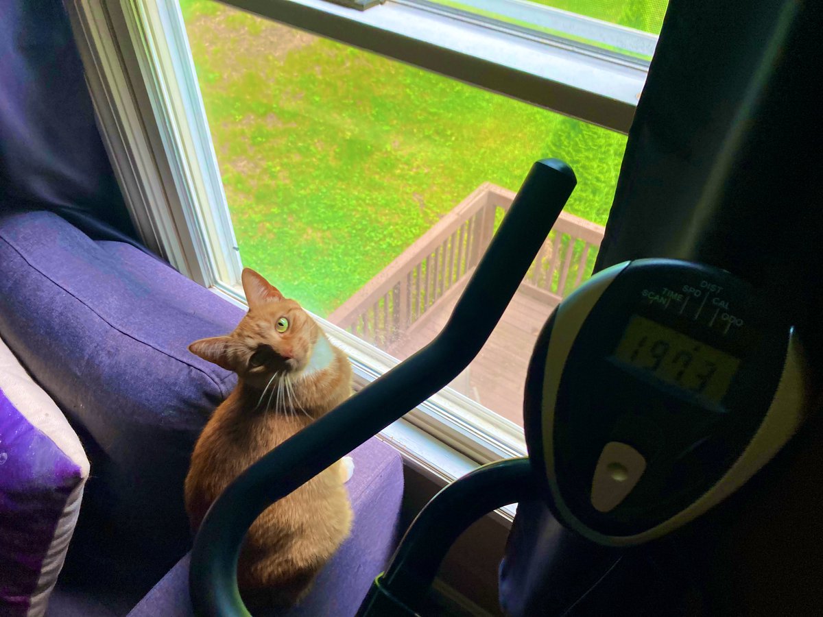 My bike companion 🫡 #WeUp