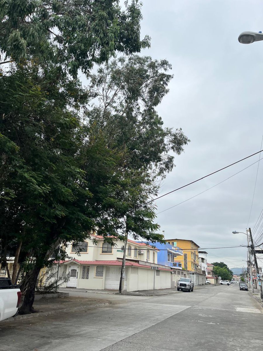 Kary0369's tweet photo. @parquesgye inspeccionen por favor este Parque los Eucaliptos que está en la calle Luis Mendoza Moreira y René Idrovo Rosales.  Arboles esquineros a punto de caer.  #ParquesEP https://t.co/adOE3BtWAo