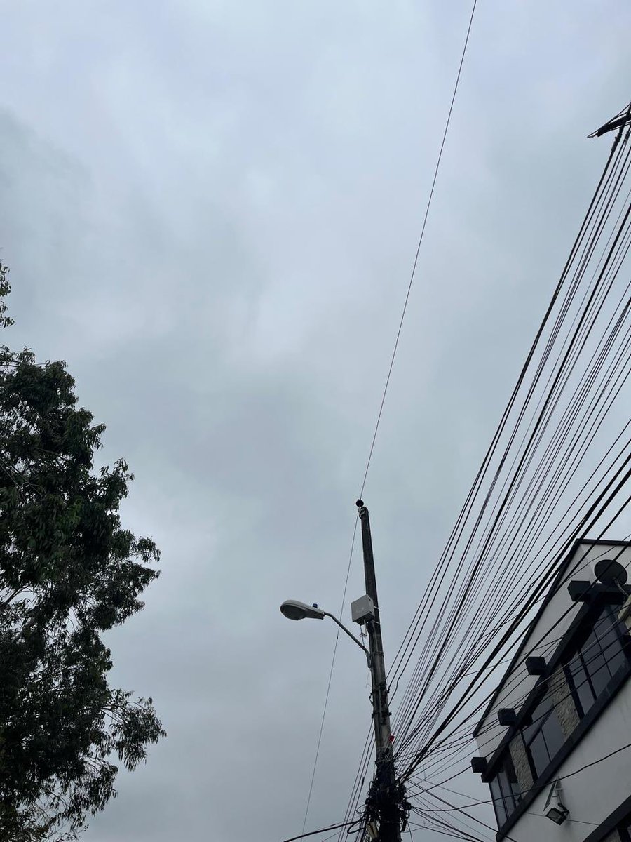 Kary0369's tweet photo. @parquesgye inspeccionen por favor este Parque los Eucaliptos que está en la calle Luis Mendoza Moreira y René Idrovo Rosales.  Arboles esquineros a punto de caer.  #ParquesEP https://t.co/adOE3BtWAo
