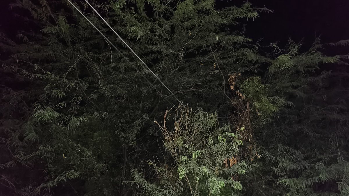 नगर पंचायत फतेहपुर चौरासी जनपद उन्नाव में 
शाम लगभग 7:22 बजे से लाइट नहीं आ रही है गर्मी से जनता परेशान  है।  <a href="/UPPCLLKO/">UPPCL</a> <a href="/UppclMedia/">उत्तर प्रदेश पावर कंप्लेंट-लखनऊ मीडिया(UPPCLMEDIA)</a> <a href="/MVVNLHQ/">Madhyanchal Vidyut Vitran Nigam Limited</a> <a href="/aksharmaBharat/">A K Sharma</a> <a href="/brajeshpathakup/">Brajesh Pathak</a>
<a href="/CMOfficeUP/">CM Office, GoUP</a> 
<a href="/PMOIndia/">PMO India</a> 
<a href="/brajeshlive/">Brajesh Misra</a> 
<a href="/aajtak/">AajTak</a> 
<a href="/Republic_Bharat/">Republic Bharat - रिपब्लिक भारत</a> 
<a href="/bstvlive/">भारत समाचार | Bharat Samachar</a> 
<a href="/BBCHindi/">BBC News Hindi</a> 
<a href="/NavbharatTimes/">NBT Hindi News</a>