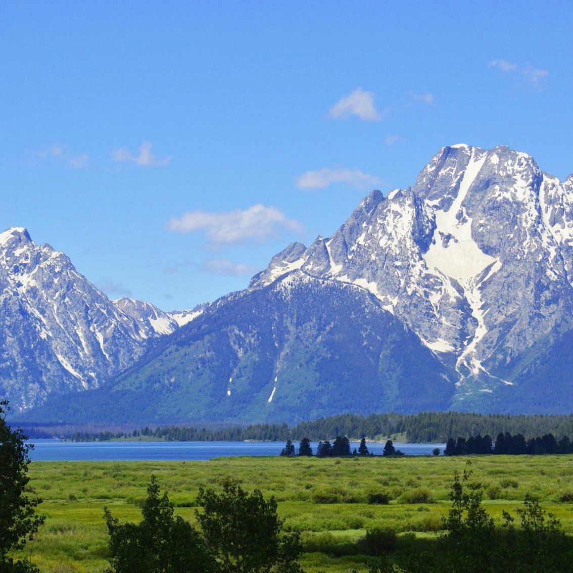 Queens R. Made tweet media