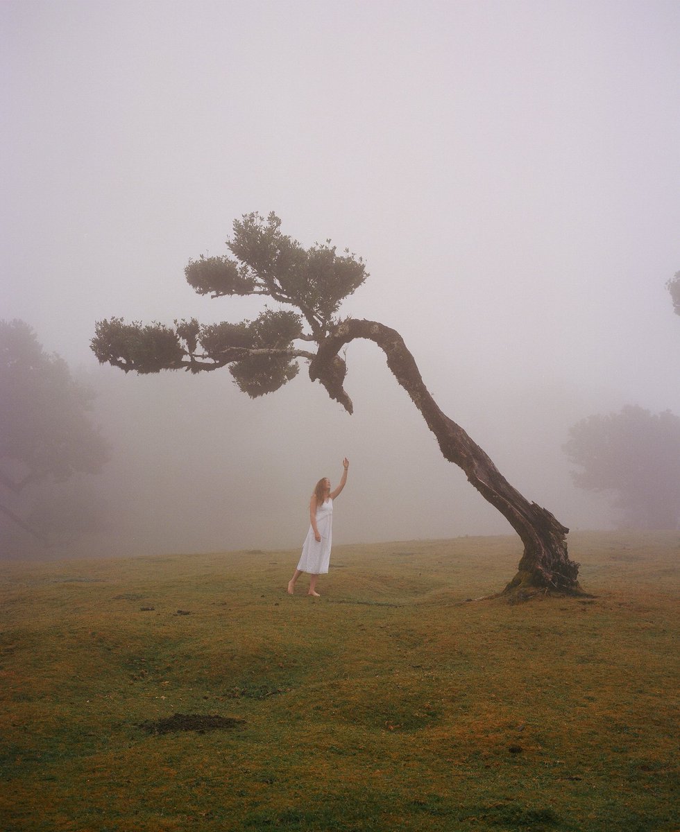 jakob_lr's tweet photo. The Island of Madeira on film https://t.co/tyN7UipGoM