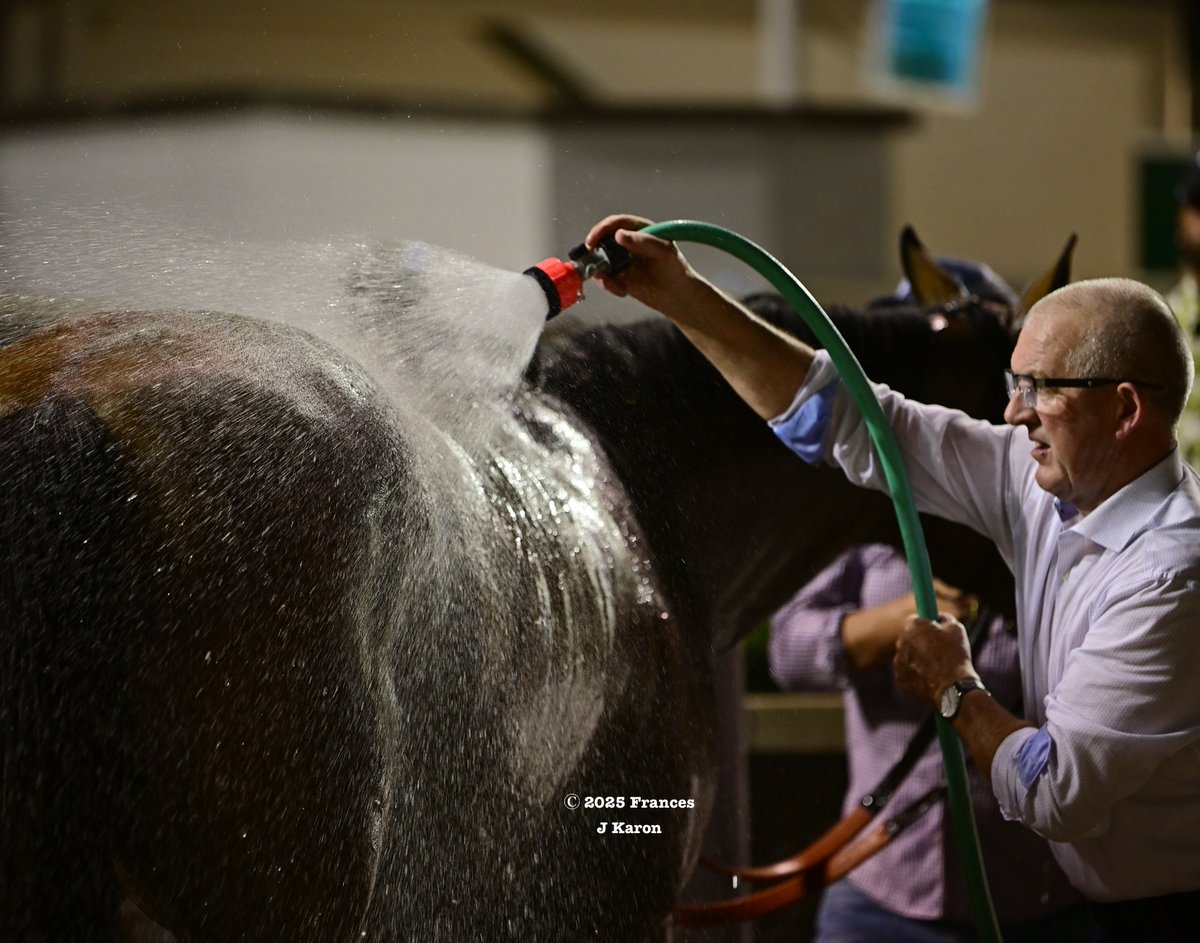 Frances J Karon (@francesjkaron) on Twitter photo With her win in last night's G2 Chicago under Irad Ortiz Jr. at Churchill Downs, Vahva has now won more graded stakes races–five–than any other son or daughter of Gun Runner except for champion Echo Zulu (eight graded wins).
It was the 20th graded win (so far!) for <a href="/reredevaux/">Cherie DeVaux</a>. With her win in last night's G2 Chicago under Irad Ortiz Jr. at Churchill Downs, Vahva has now won more graded stakes races–five–than any other son or daughter of Gun Runner except for champion Echo Zulu (eight graded wins).
It was the 20th graded win (so far!) for <a href="/reredevaux/">Cherie DeVaux</a>.
