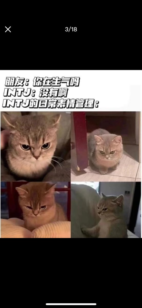 Artwlkill_aiii (@littlea_ai) on Twitter photo 