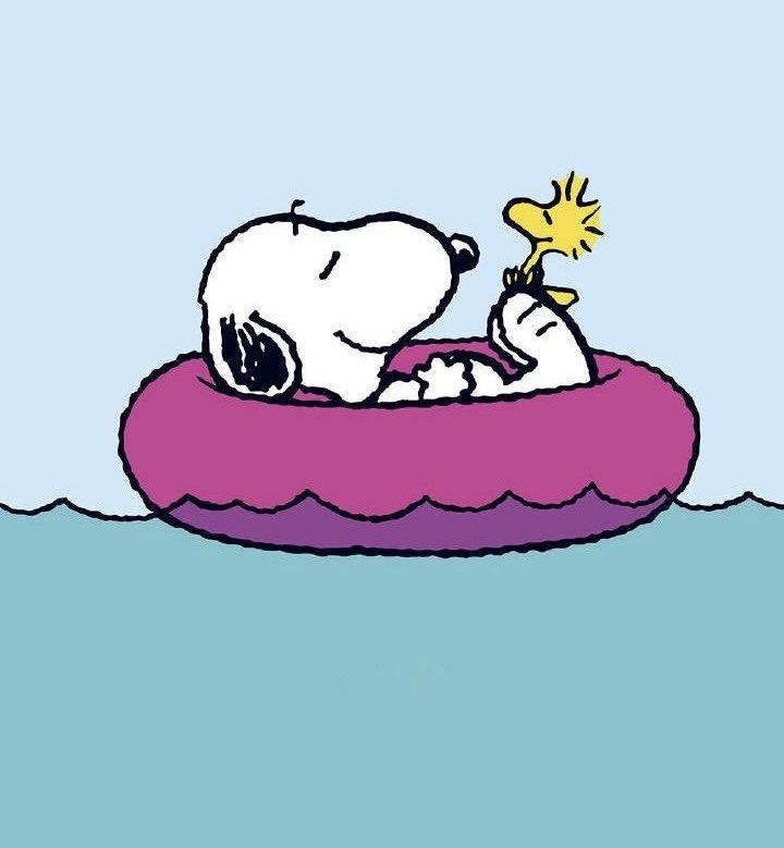 ˖⁺‧₊˚♡˚sainz snoopy ˚♡˚₊‧⁺˖ (@csainzsnoopy) on Twitter photo 
