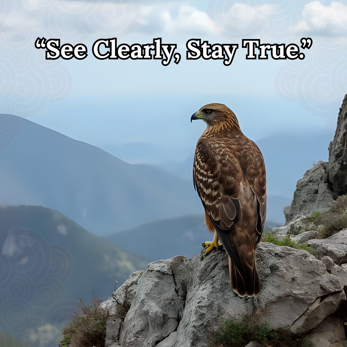 PemaZeje's tweet image. In Nature’s Focus: Hawk’s Gaze, a hawk perches high, its eyes locked on the horizon, unwavering. Focus sharpens our path through distraction. 🙏 
~ Today, dedicate five minutes to one task. What clarity do you find? 🦅
#Focus #NatureLessons #InnerVision #Mindfulness