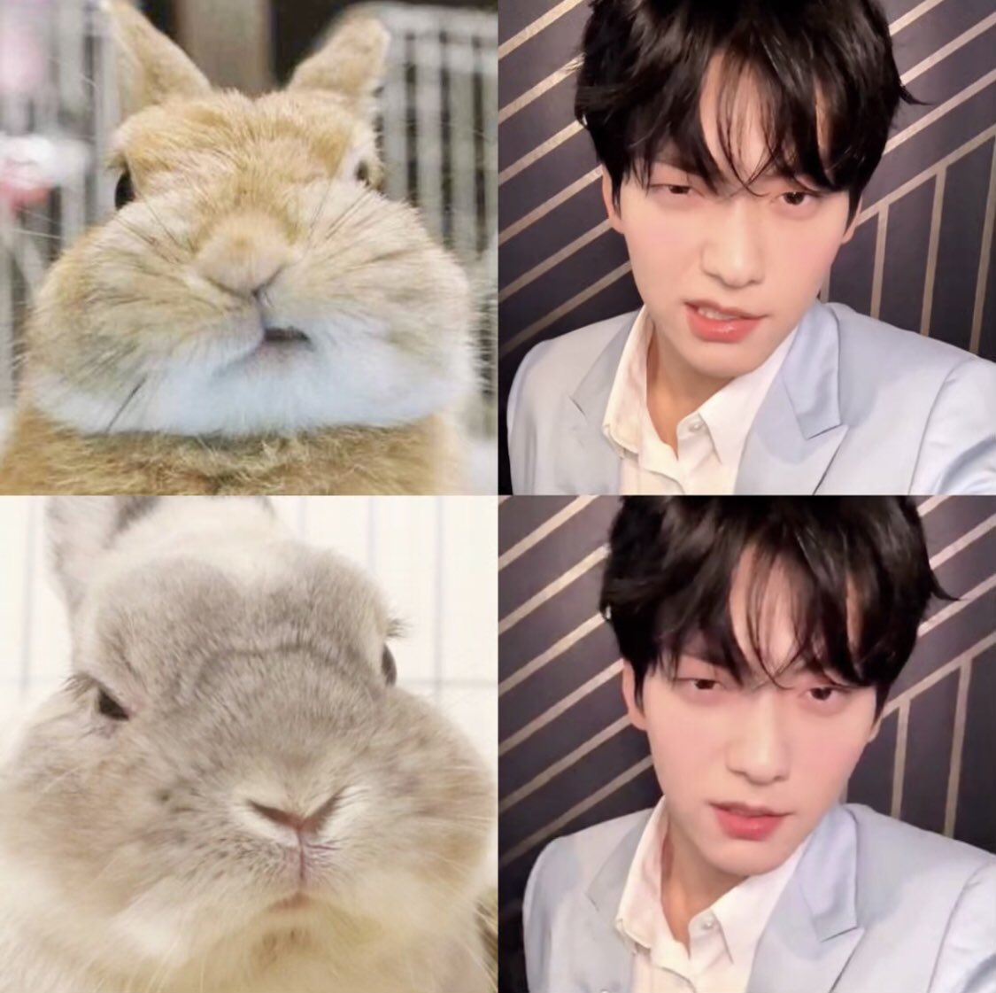 sootopia ⏦ﾟᡣ𐭩 (@_sooutopia) on Twitter photo 