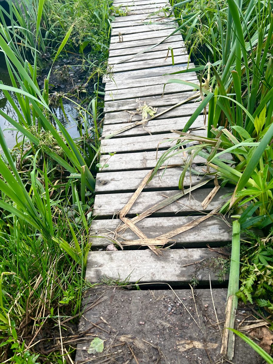 Seikkailu #kesä 🇫🇮🌱