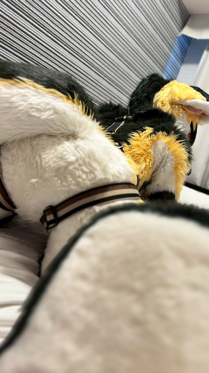 hozuKa_AD (@hozuka_ad) on Twitter photo 