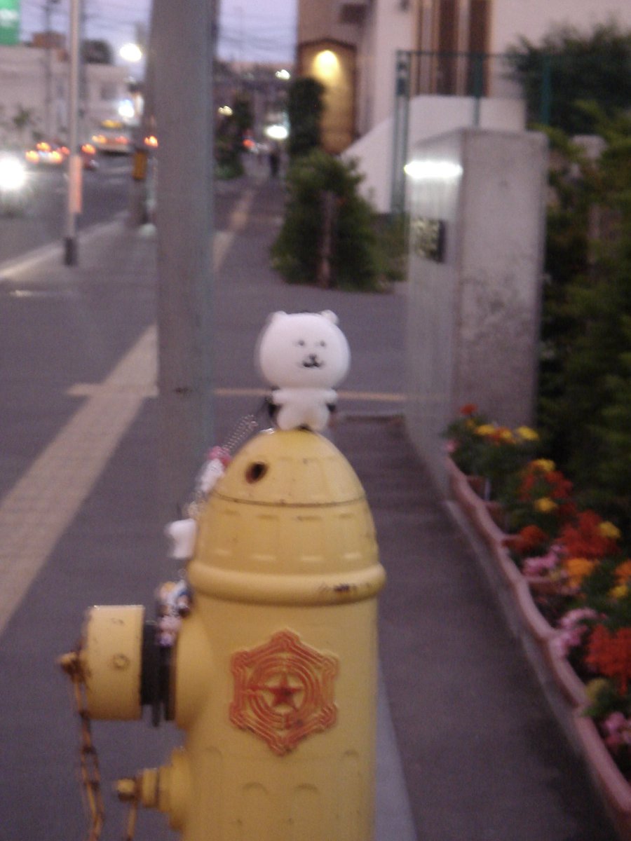 jokebearandme's tweet photo. 마을을 지키는 곰이 있었슨

그냥 잇었슨

딱히 뭘 하진 않았슨 https://t.co/lvDEXg1ugk