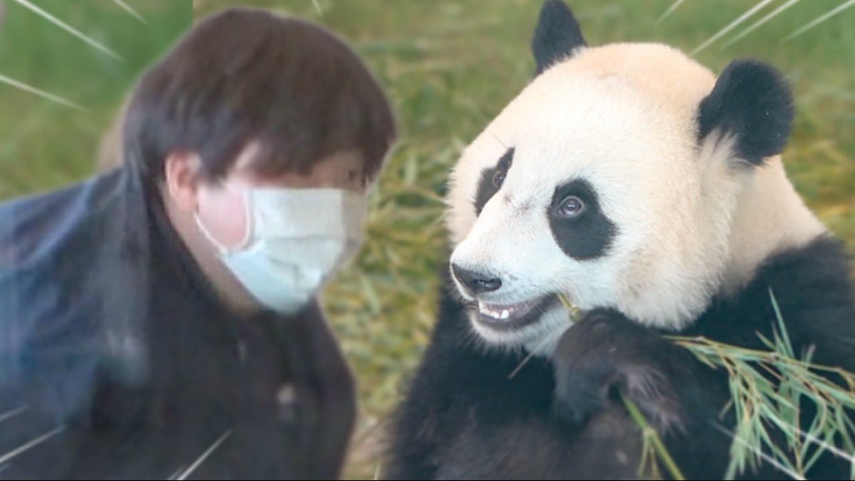 パンダdeぱんだ (@panda__de) / Posts / X