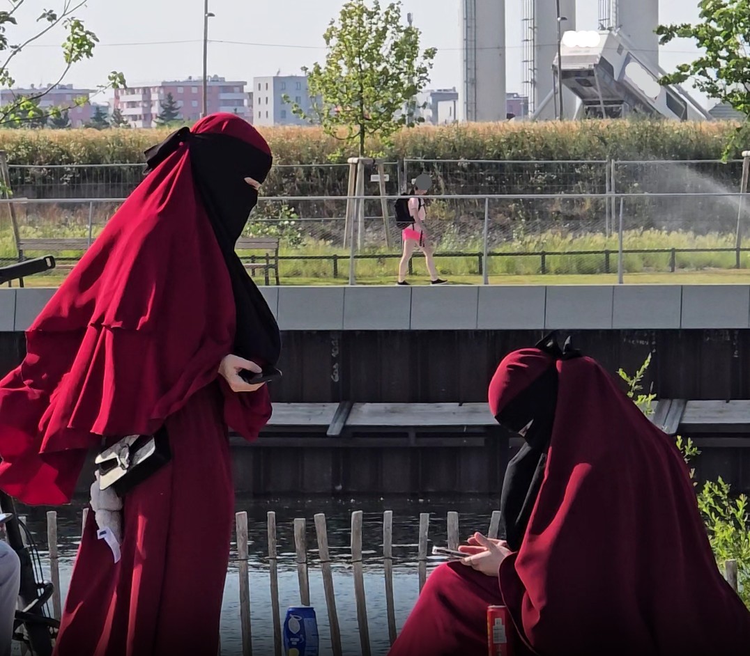 ProPolizeiOE's tweet photo. #Leserreporter: Mehr vermummte junge Frauen in Seestadt. Verschleierung verstößt gegen AGesVG, Strafe €150. Laute Musikbeschwerden könnten durch Jugendbanden in Gewalt enden, wie diese Woche gesehen.
Zeichen wachsender Radikalisierung? Zivilstreifen nötig?
@LPDWien #ProPolizei https://t.co/YoxgAtaLPG