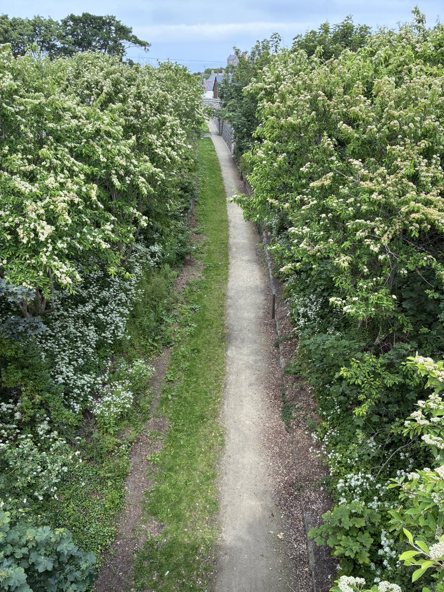 LeadbeaterChris's tweet image. I love it when two strands of my work come together. Back in February, I wrote about some of the loveliest British railway lines lost to the #Beeching axe. Yesterday, I made direct contact with one of these glorious ghosts in #Portsoy. #Aberdeenshire