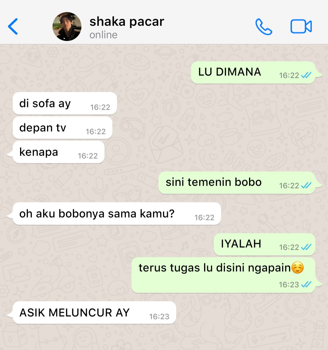 mai tweet media