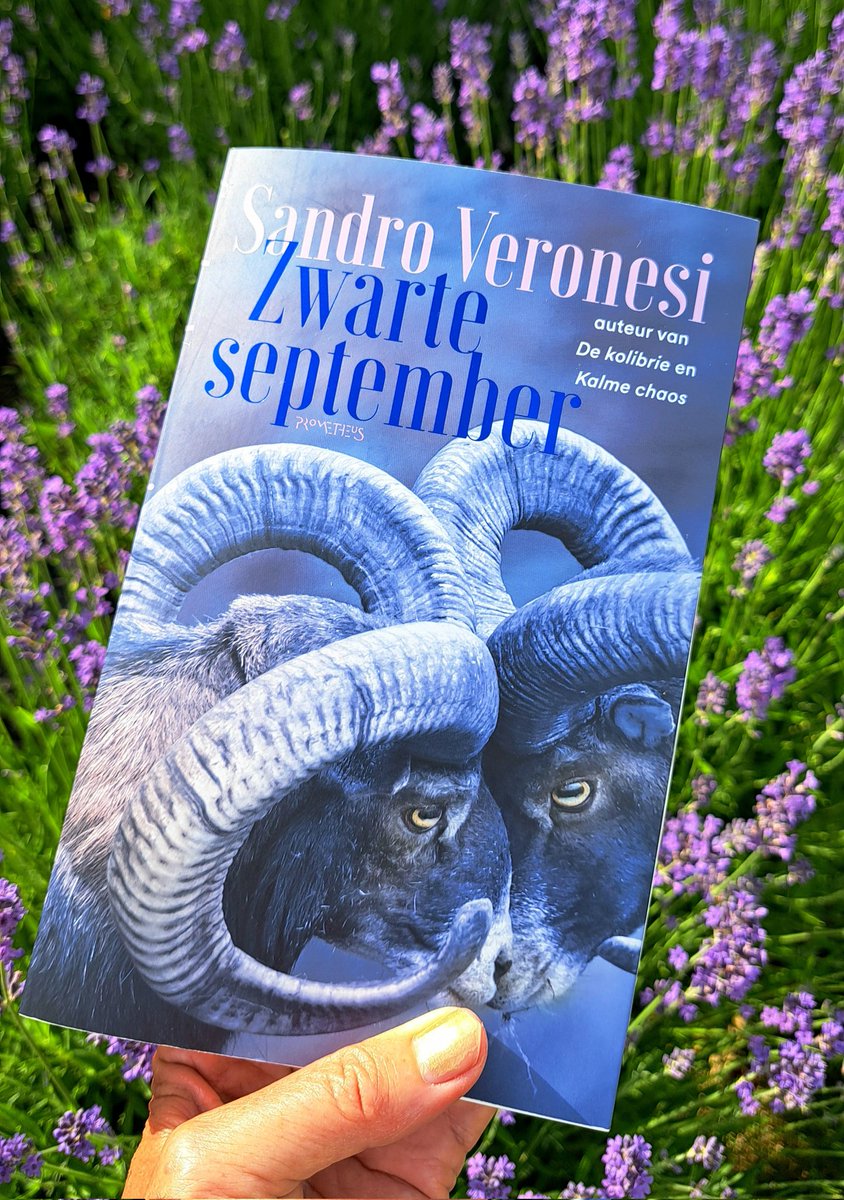 ´... maar dit verhaal verontrustte me, en ongeduld past nu eenmaal veel beter bij verontrusting dan bij voldoening.´ #ZwarteSeptember #SandroVeronesi 
Een m² schaduw, een meeslepend boek van de hand van de meester over een broeierige Italiaanse zomer in 1972. All I need. 😎📚