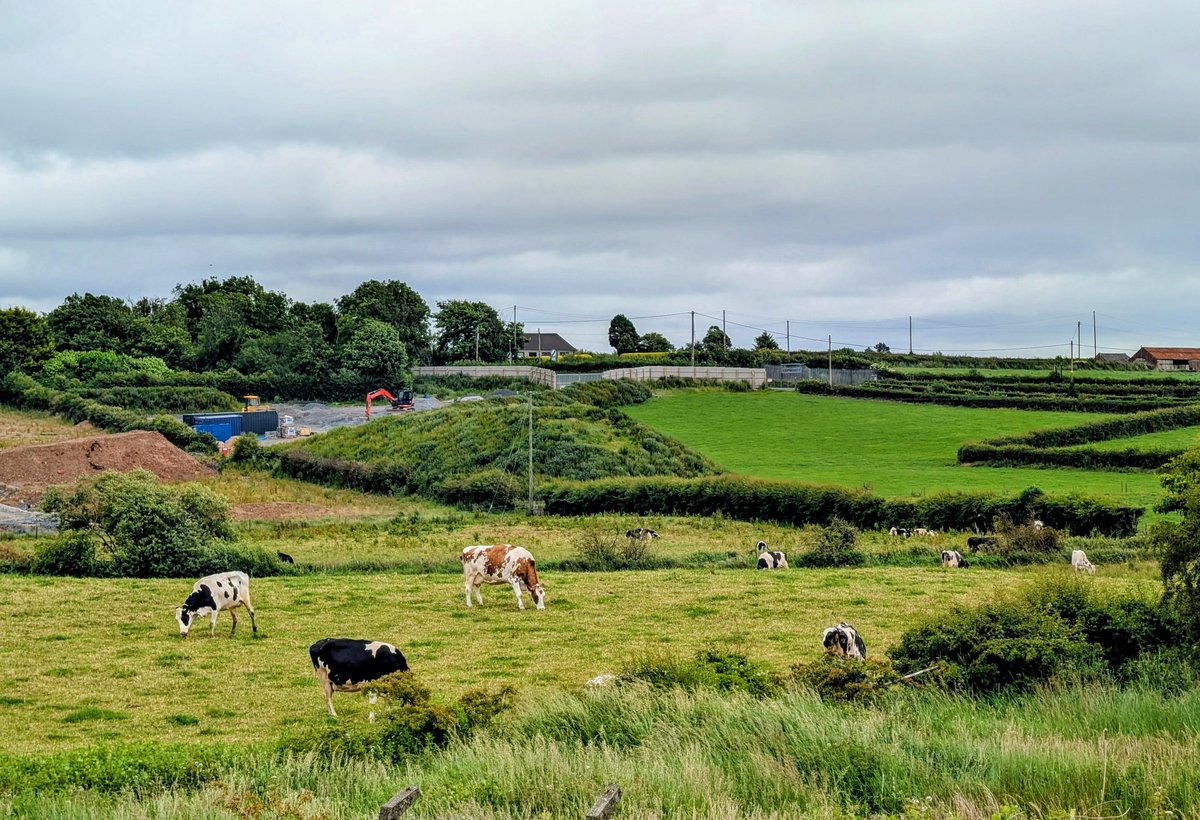 Carryduff and some cows <a href="/deric_tv/">Deric</a> <a href="/R_Faragher/">Rick Faragher</a> <a href="/linzilima/">Linzi Lima</a> <a href="/bbcweather/">BBC Weather</a>  <a href="/DiscoverNI/">Northern Ireland</a> <a href="/LoveBallymena/">Love Ballymena</a> <a href="/WeatherCee/">Cecilia Daly</a>  <a href="/Louise_utv/">Louise Small</a>  <a href="/WeatherAisling/">Aisling Creevey</a> <a href="/barrabest/">Barra Best</a> <a href="/Ailser99/">Aileen Moynagh</a>  <a href="/EventsCauseway/">Causeway Coast & Glens Events</a>  <a href="/angie_weather/">angie phillips</a> <a href="/geoff_maskell/">Geoff Maskell</a> <a href="/organicbotanic/">Sue McBean - @organicbotanic.bsky.social</a> <a href="/Schafernaker/">Tomasz Schafernaker</a>